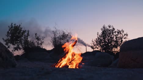 blazing campfire burning at summer evening. burning orange flames in natural calm atmosphere. no people around the fire. camping fire concept.