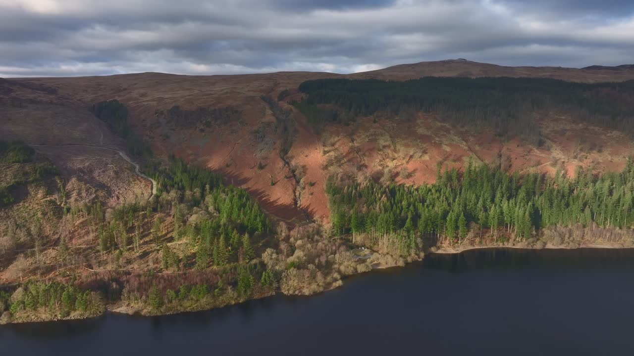 Flying over dark lake towards pine trees lit by morning light. Lake District, Cumbria, UK.