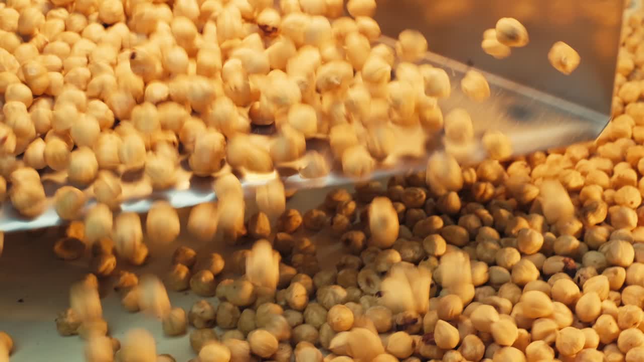 the hazelnuts are sorted at the hazelnut processing plant