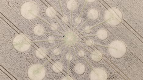 Aerial-view-rising-directly-above-Andover-molecular-crop-circle-on-golden-farmland-wheat-field-in-Test-valley,-Hampshire