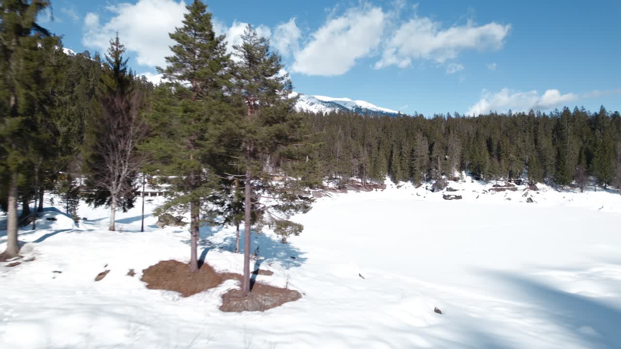 vista aérea de árboles altos en la isla en el lago caumasee de invierno congelado