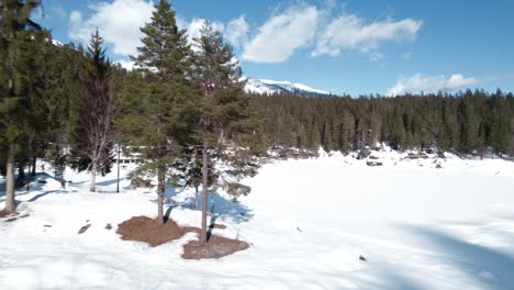 Aerial-View-Of-Tall-Trees-On-Island-On-Frozen-Winter-Caumasee-Lake