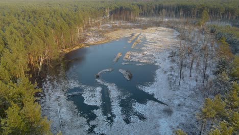 aerial wide view snow-covered marshlands area in the middle of the forest
