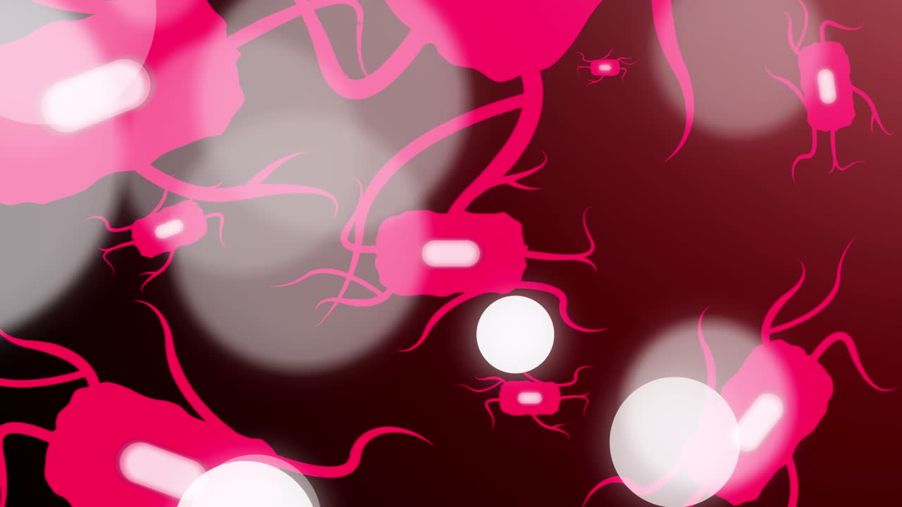 Animation of dots over pink cells on red background