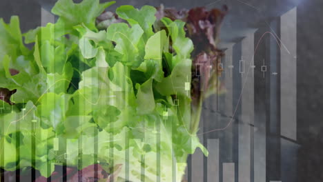 animación del procesamiento de datos sobre salat.