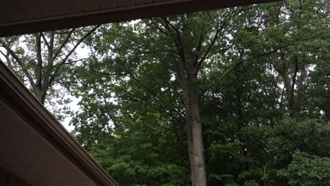 High angle of a roof and forest, showing off a light summer rain