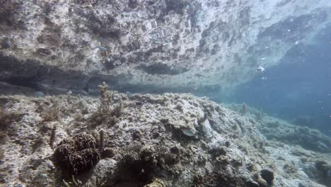 Increíble-Timelapse-Submarino-De-Una-Animada-Piscina-De-Rocas-Con-Un-Reflejo-Superior