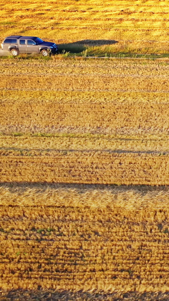 Car in field on country road. Aerial view of cars passing through the field