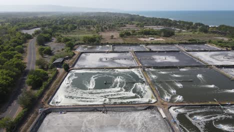 vista aérea, cautiverio o estanque de camarones en el sur de yogyakarta en la costa de samas