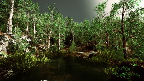 deciduous-forest-is-reflected-in-the-small-lake