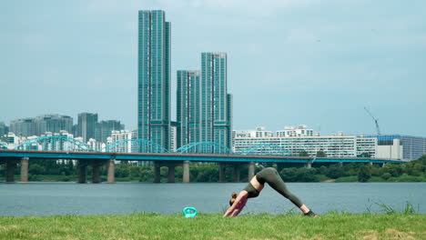 fitness young woman doing yoga downward facing dog pose on grass lawn at han river park with seoul urban skyline in background