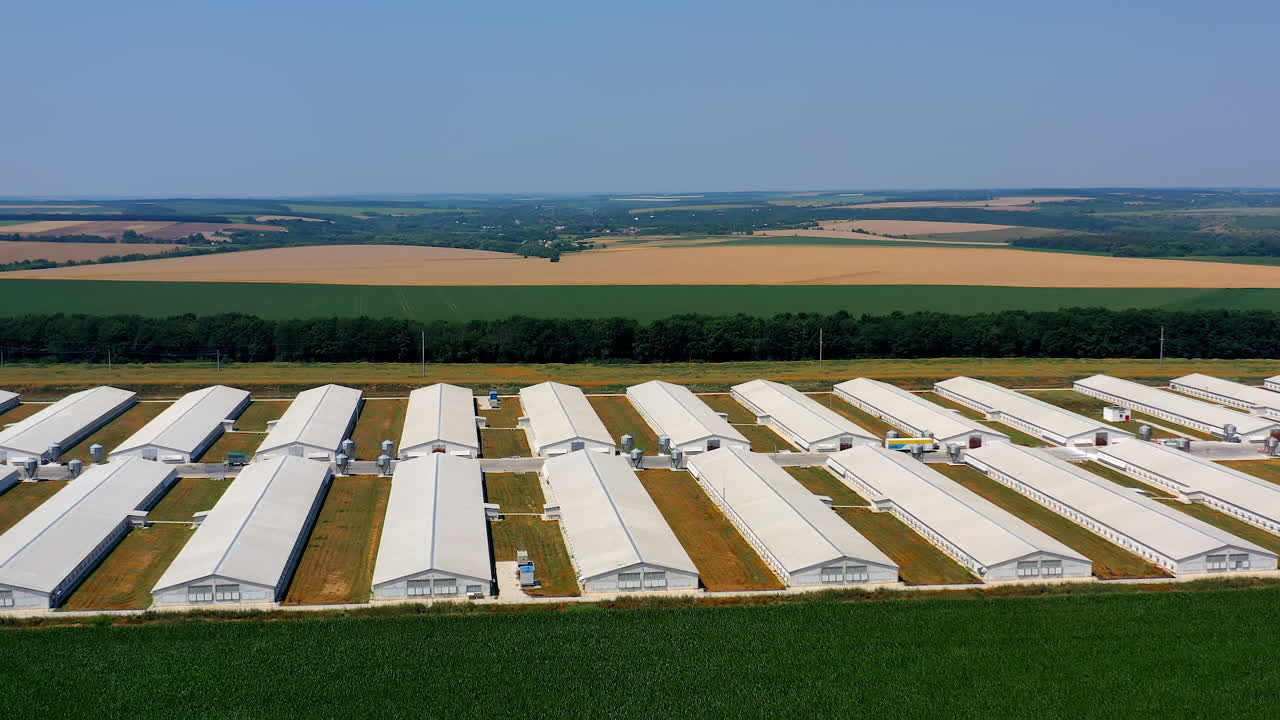 Farm on agricultural farmland. White barn houses in the countryside. Modern farm on nature landscape. Aerial view. Ecological problems.