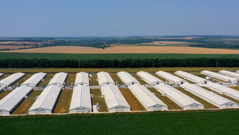 farm on agricultural farmland. white barn houses in the countryside. modern farm on nature landscape. aerial view. ecological problems.