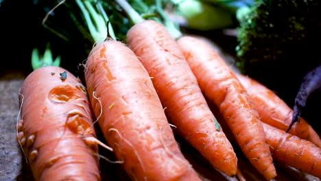 ugly carrot with little roots sprouting next to beautiful carrots, close up pan