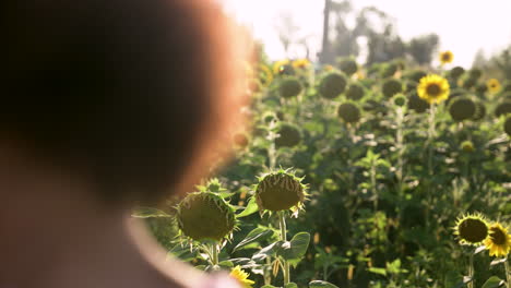 Frauen-In-Einem-Sonnenblumenfeld