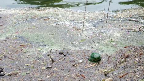 green glass bottle in polluted water, dirty pond full of junk