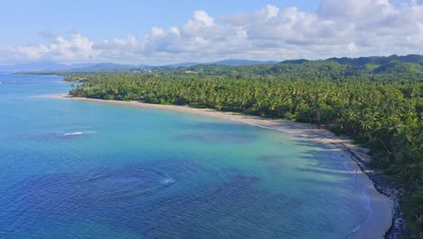 Drone-view-of-tropical-palm-tree-fringed-Las-Terrenas-beach,-Caribbean