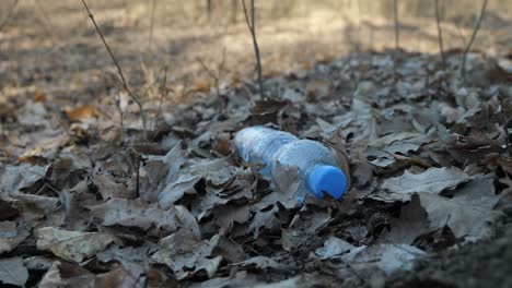 plastic sheet thrown in the forest