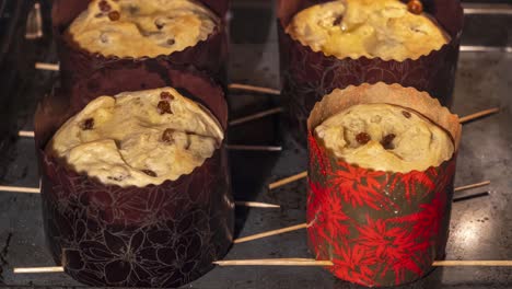 cooking panettone, easter cake, in a home oven, time lapse