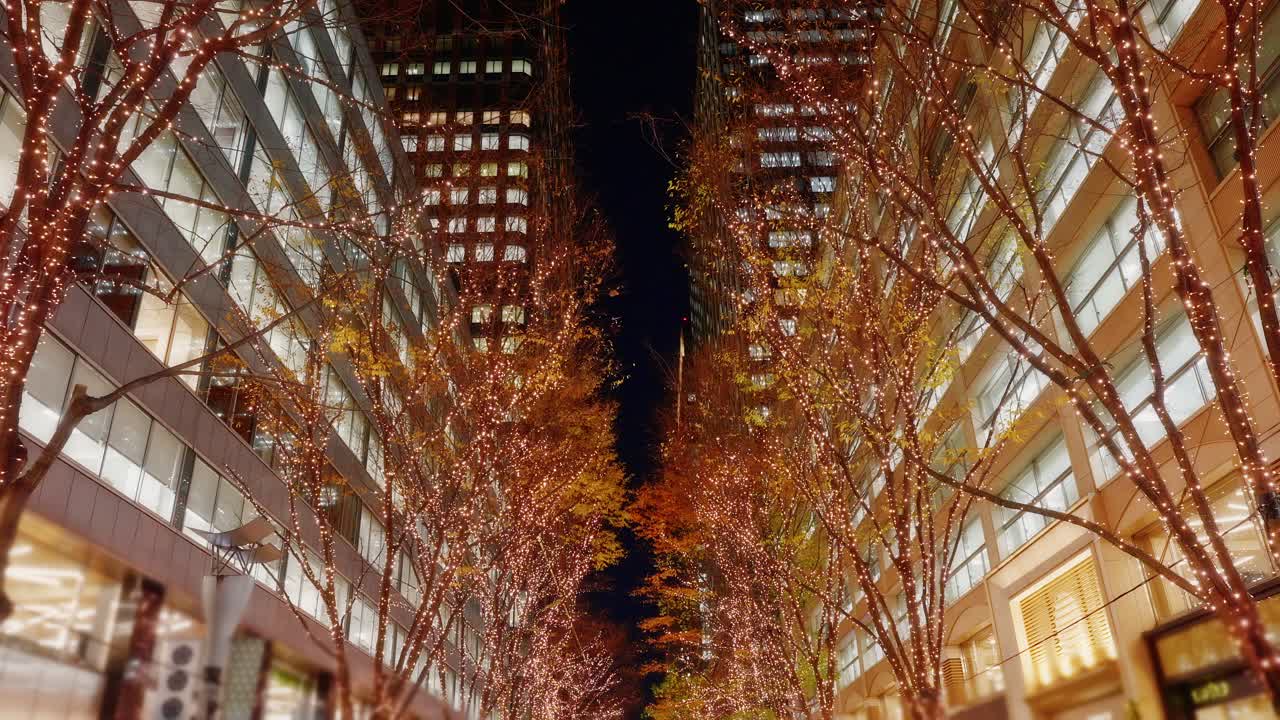 Uno scatto simmetrico dal basso di luci di Natale dorate sugli alberi che fiancheggiano una strada tra moderni grattacieli per uffici a Marunouchi, Tokyo di notte.