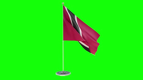 benin  3d looping illustration of small flag pole on chroma key background