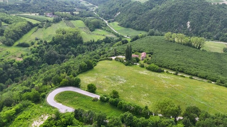 Telecamera aerea ad alta quota sorvola una strada asfaltata tortuosa, campi verdi lussureggianti e dolci colline rurali