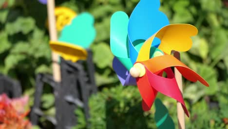 colorful windmills in a garden