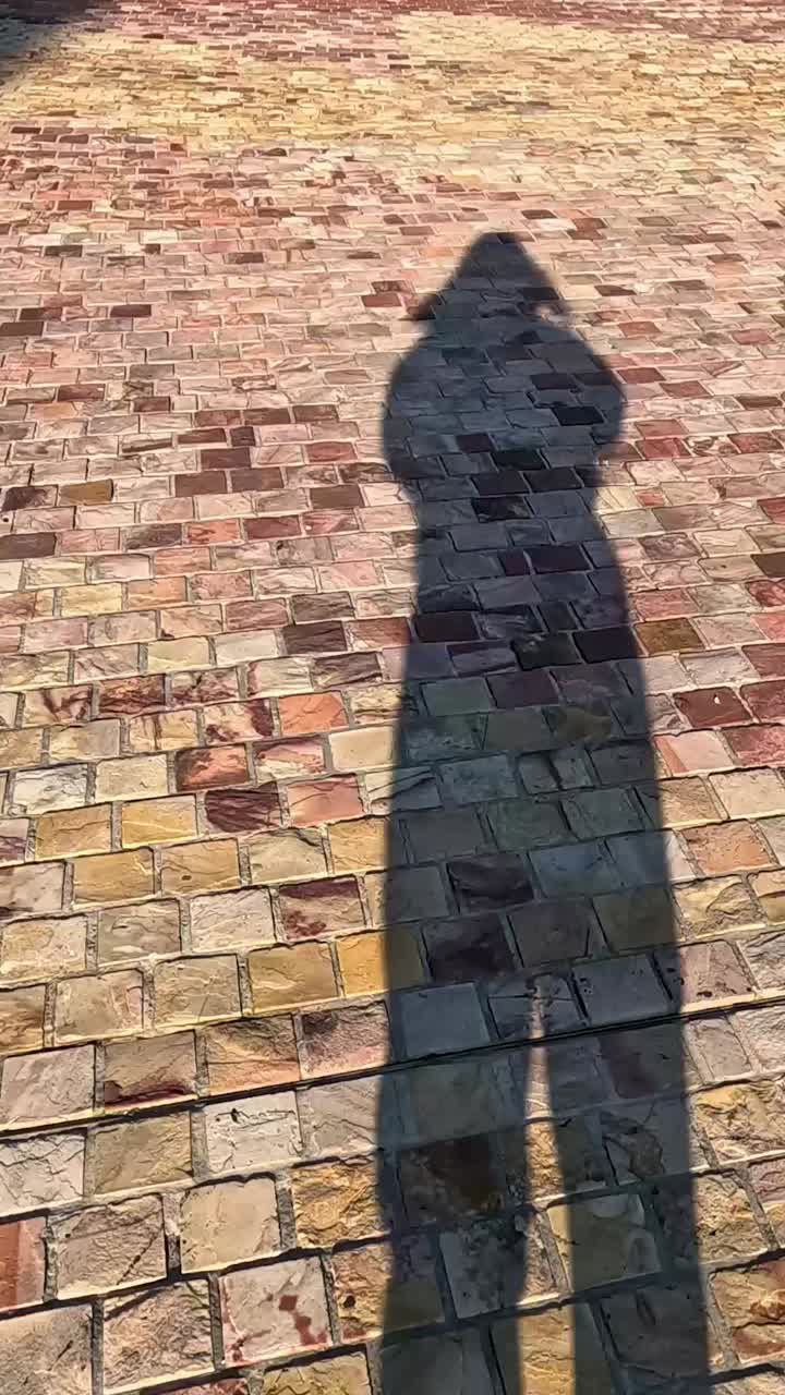 그림자가 무가 있는 벽돌길에 아져 나옵니다.