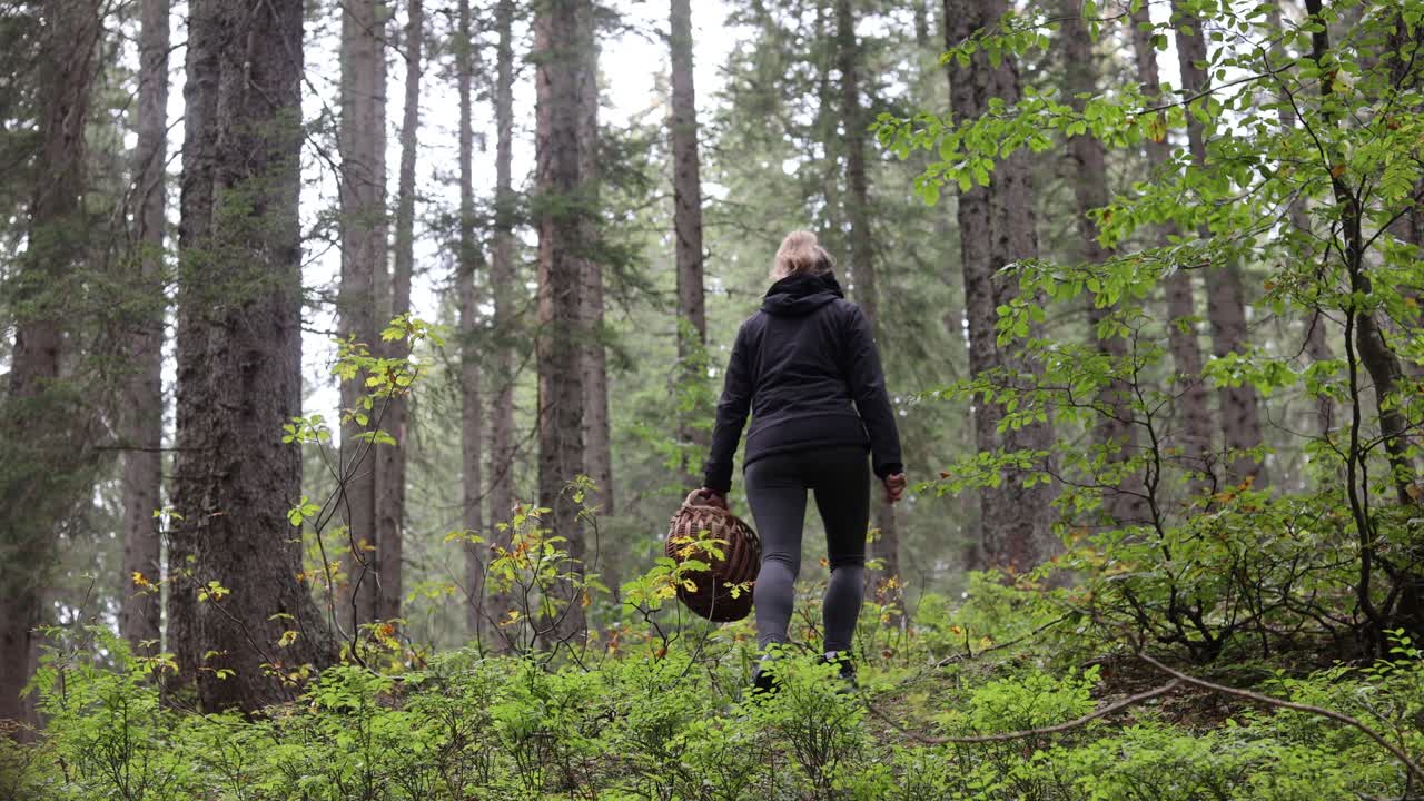 женщина идет по лесной тропинке, держа в руках корзину для