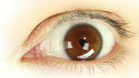 Closeup-of-eye