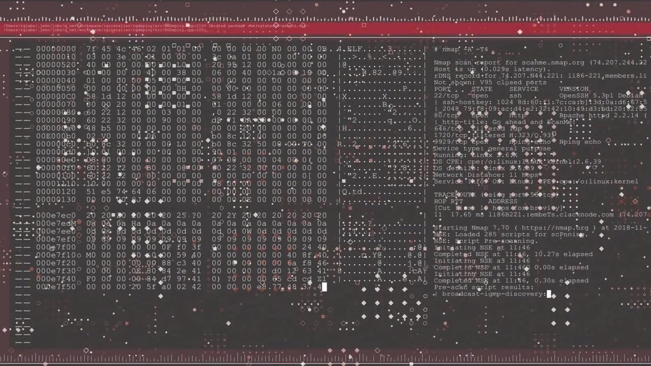 Flickering glitches starting red bar, hexdump and Nmap scan moving discovery to interface listing