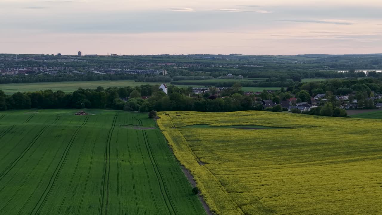 Aerial view of expansive green and golden fields divided by a straight line in the Danish countryside, showcasing lush crops and blooming mustard under a pastel sunset sky