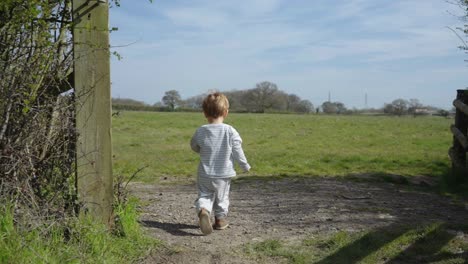 toddler boy walks through wooden gate and runs through field, sunny day