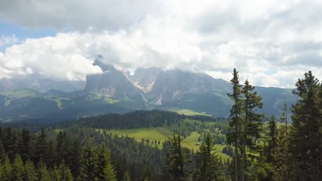 fly through pine tree forest, with big mountains on the backdrop, alpe di siusi, sudtirol, italy