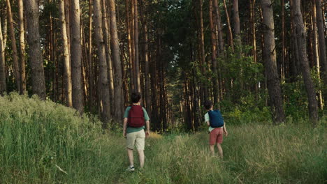 Kinder-Spielen-Mit-Spielzeug-Im-Wald