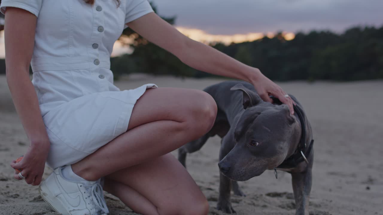 모래 언덕에 젊은 여성 옆에 누워 있는 아메리칸 스태퍼드셔 테리어 클로즈업