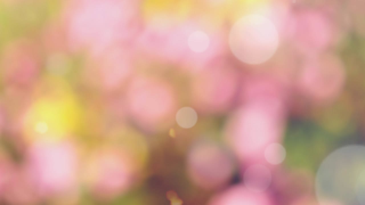 Abstract spring background with bokeh