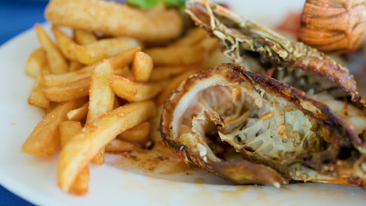 Camera slowly zooms in on grilled lobster, fries, and lemon garnish under natural daylight