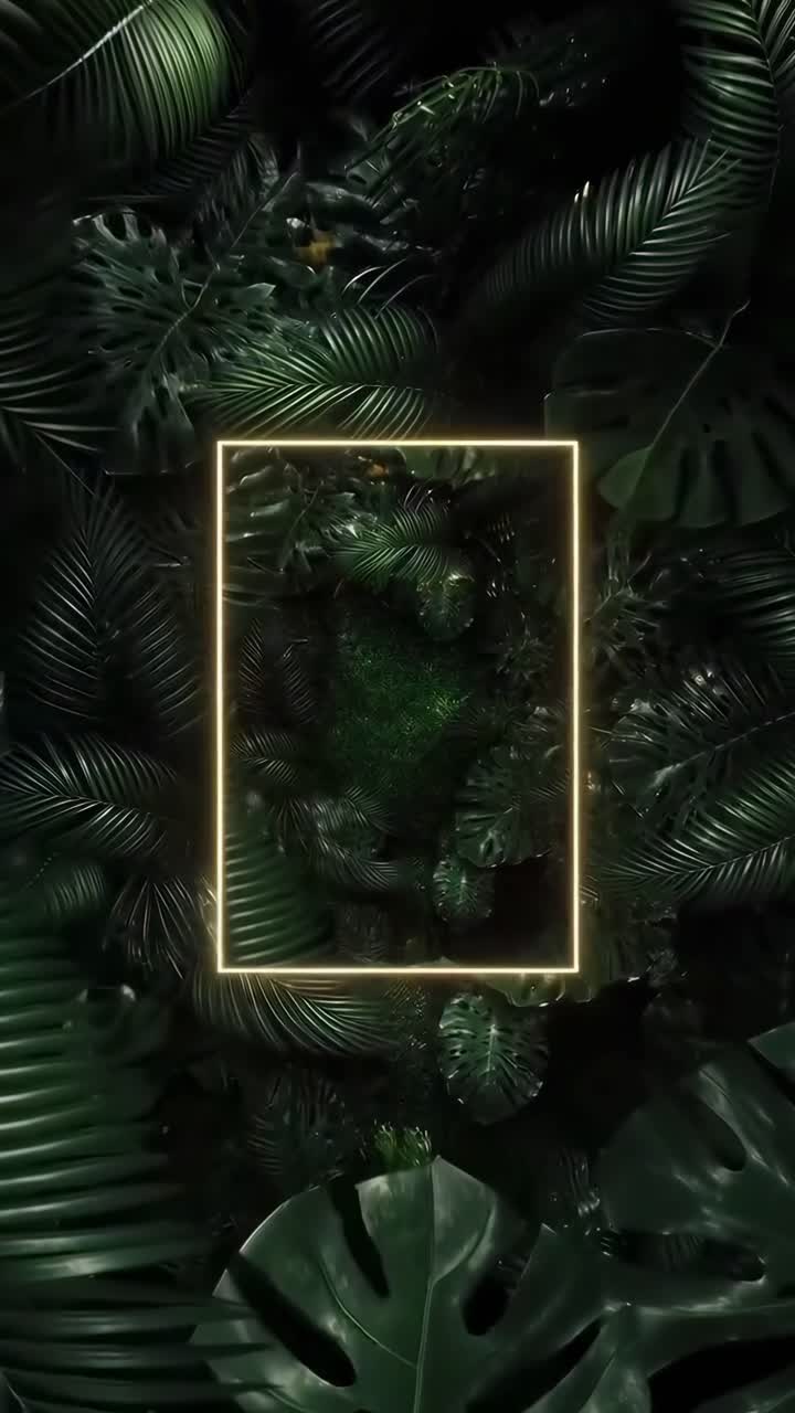 Top-down view of lush green leaves with a glowing rectangular frame, creating a surreal video
