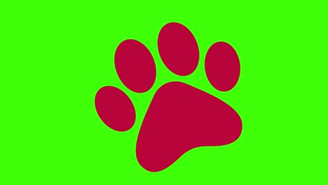 animación de un icono de huella de perro en una pantalla verde