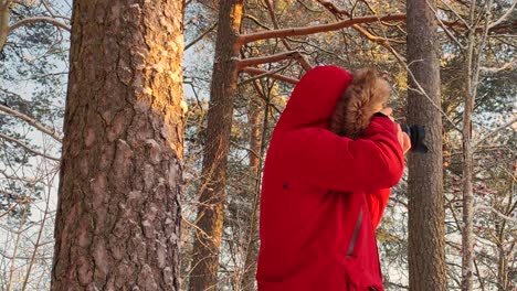 fotógrafo tomando fotos de paisajes en un bosque durante el invierno