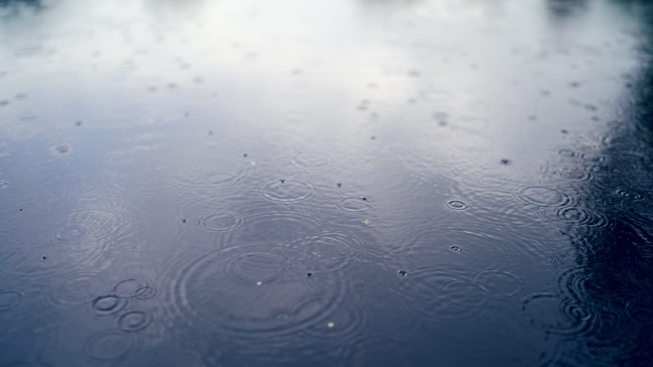 Rain drops fall on water surface of pond, lake or river forming a uniform background.