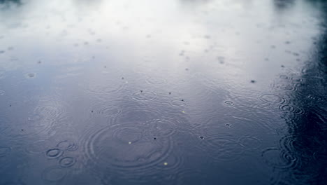 las gotas de lluvia caen sobre la superficie del agua de un estanque, un lago o un río formando un fondo uniforme.