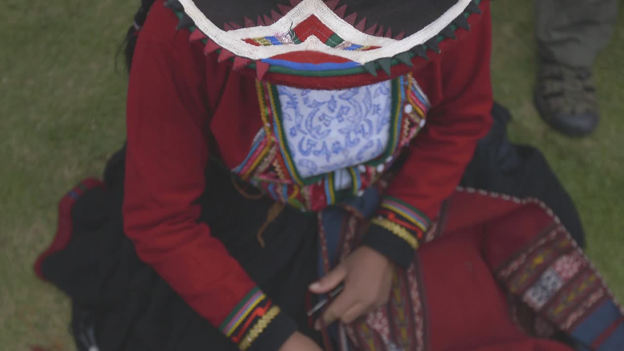 Overhead of Peruvian weaver sitting in grass