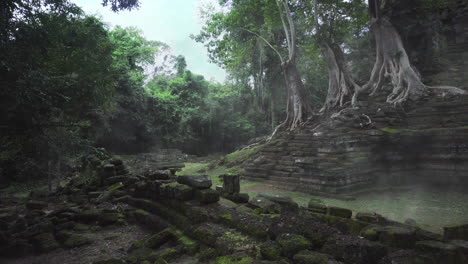 atmospheric fogy misty morning in angkor park jungle, trees overgrown temples