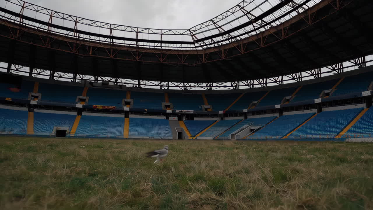 Abandoned Stadium Interior with Overgrown Grass