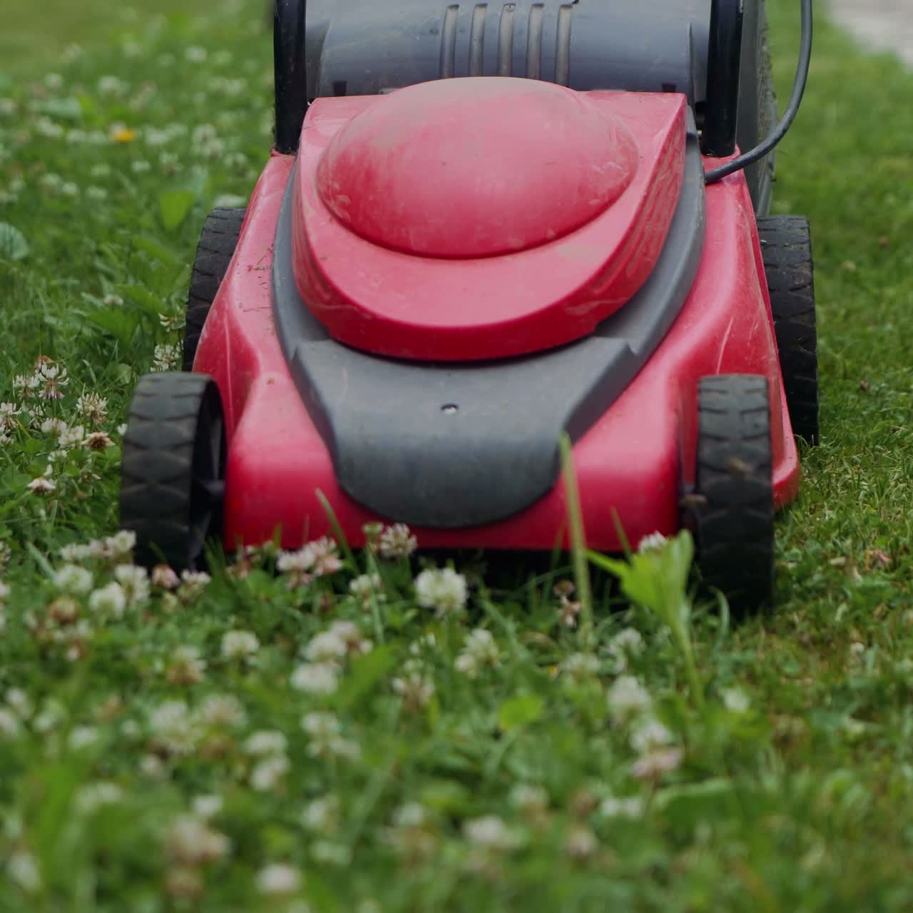 human is controlling the work of lawn mower near the path in the yard in the summer. The lawn mower consistently is mowing grass