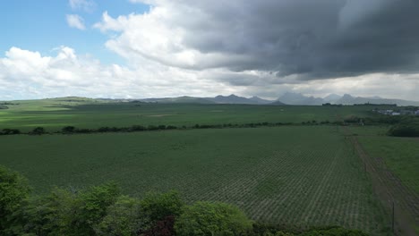 Grass-field-with-mountains-in-the-background,-aerial-establishing-shot