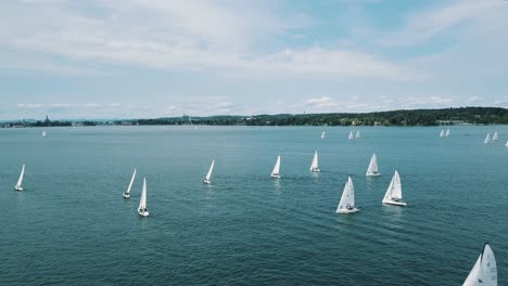 a wide shot of dozens of sailboats on a lake