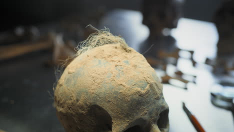 dusty skull in research setting